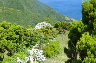 São Jorge wandelen - hiking