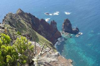 Punta Rosais