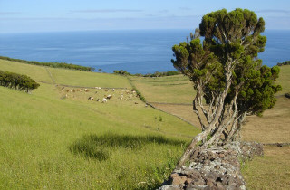 Santo Antão