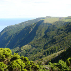 Sao Jorge