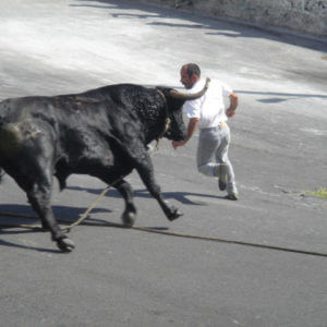 Sao Jorge