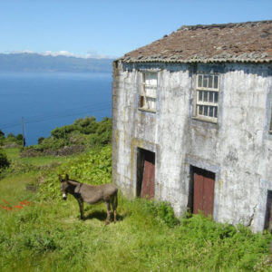 Sao Jorge