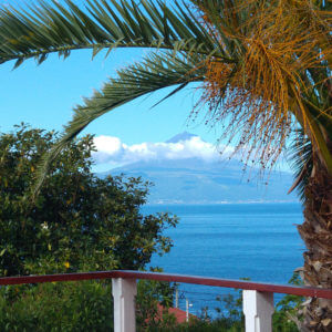 Vakantie São Jorge - Holiday Sao Jorge