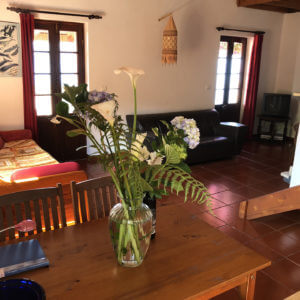 Vakantie São Jorge - Holiday Sao Jorge